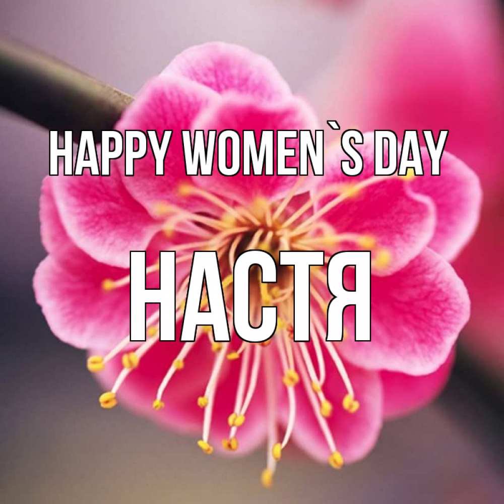 Greetings card с именем, Настя happy women`s day цветы Greetings with text for free download 